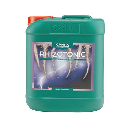 Rhizotonisches Canna