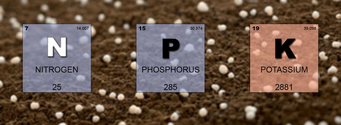 What Are NPK Ratios?