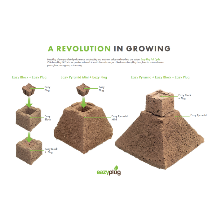 Eazy Plugs Propagation Media