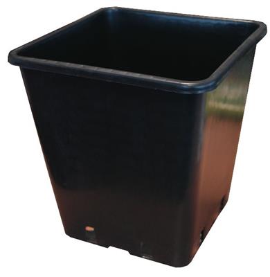 Square Pot