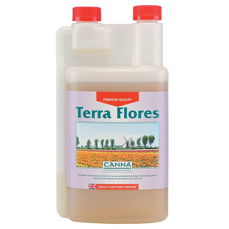 Canna Terra Flores