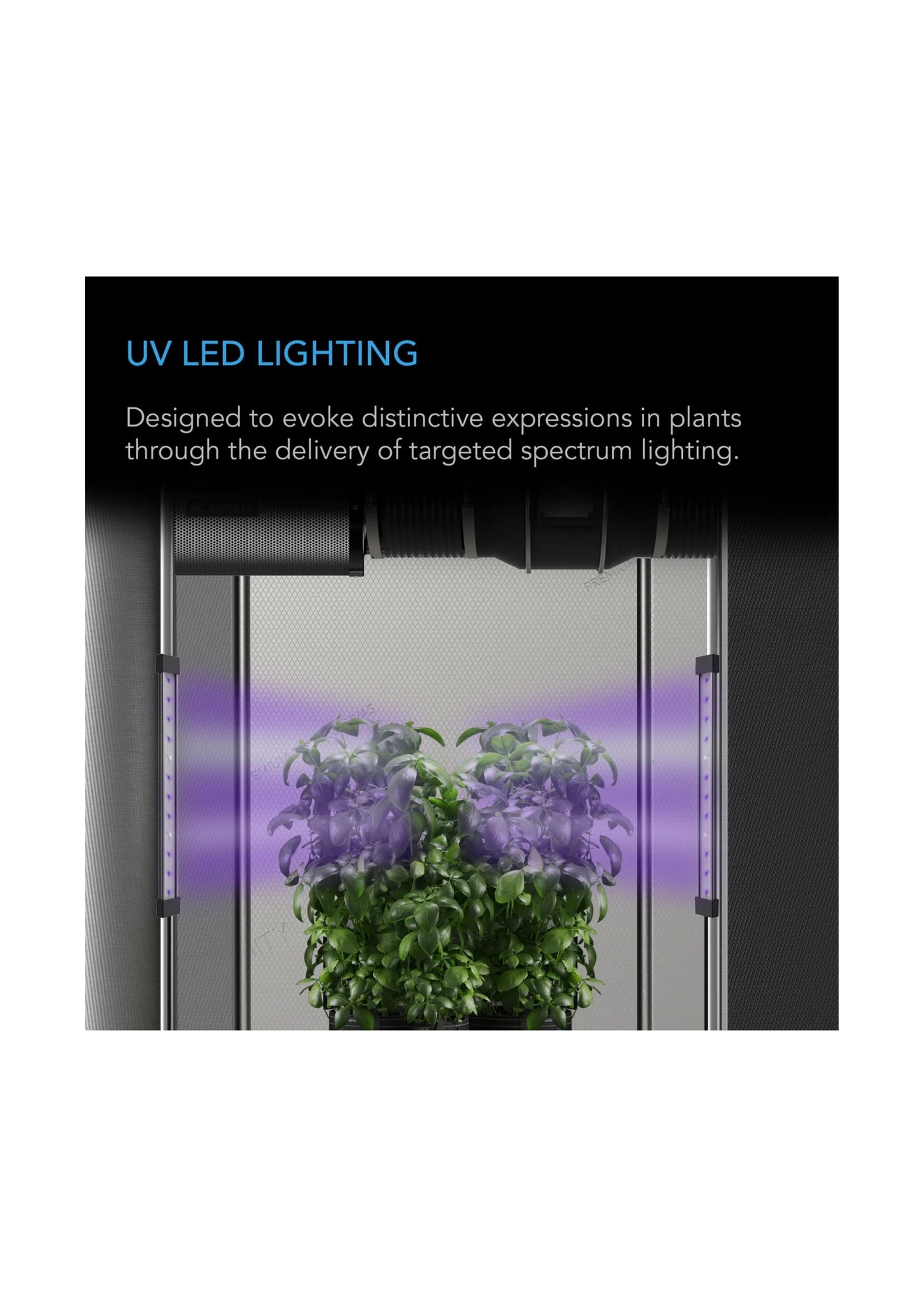 Ionbeam UV Led Grow Light Bars