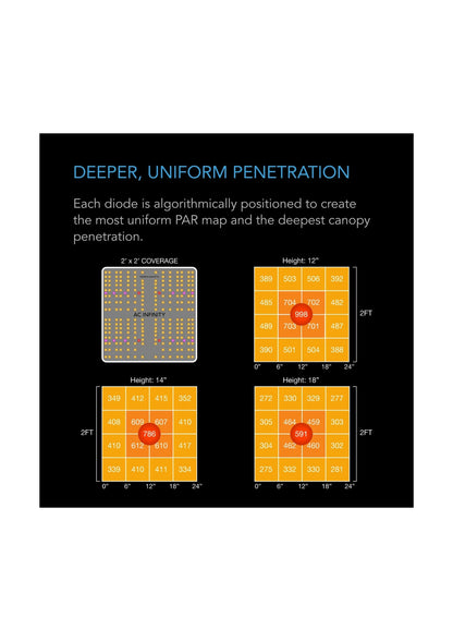 Ionboard S24 Vollspektrum-LED-Wachstumslicht 200 W, 60 cm x 120 cm