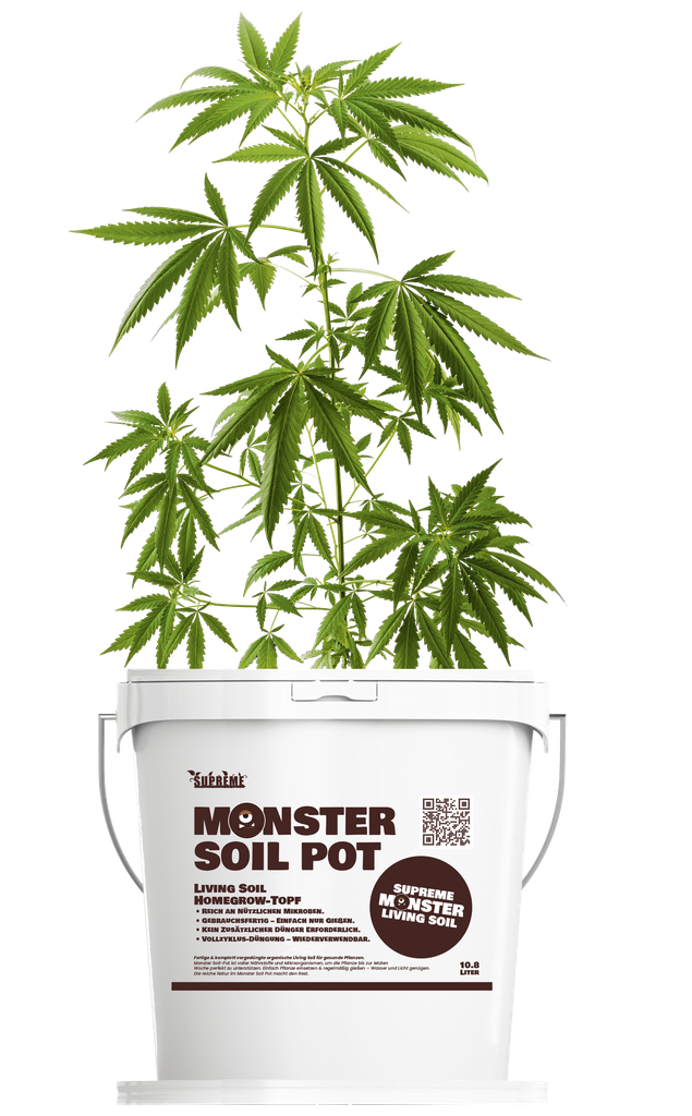 Monster Soil Homegrow Pot | Incl. Box | 11L