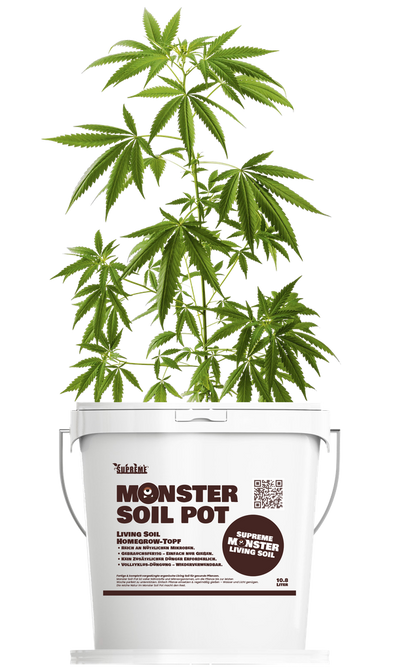 Monster Soil Homegrow Pot | Incl. Box | 11L