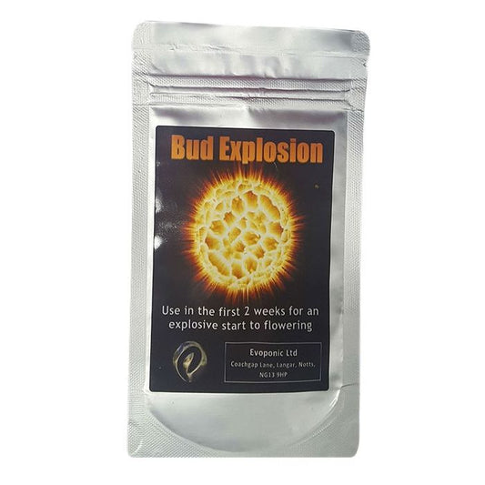 Knospenexplosion 40g Evoponic 