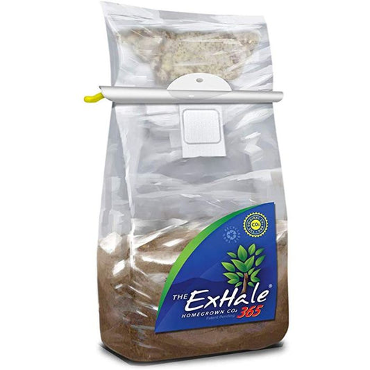 XL CO2 Bag Exhale