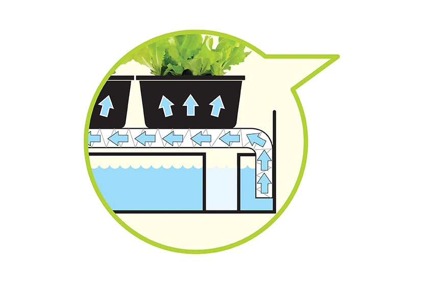 Garland Micro Grow Light Garden