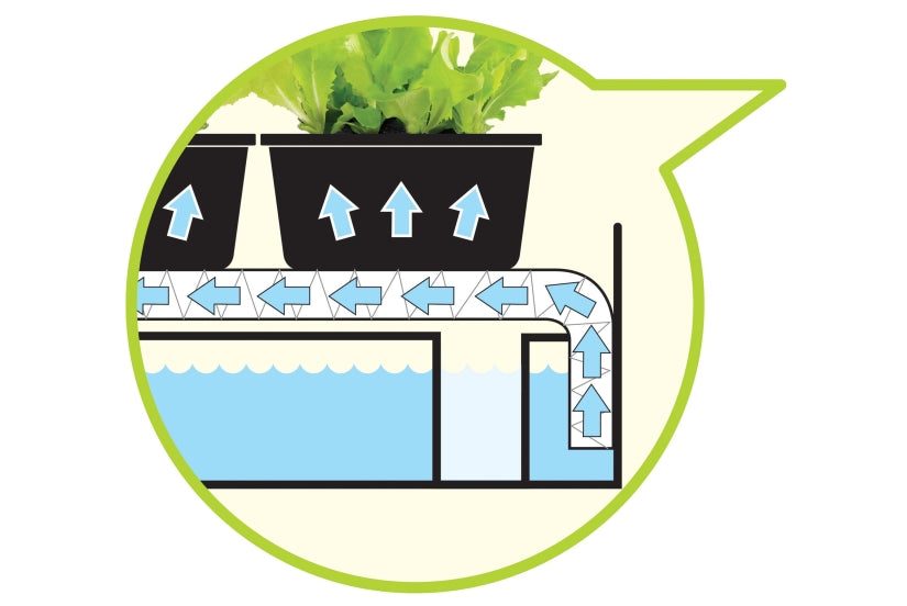 Garland Grow Light Garden