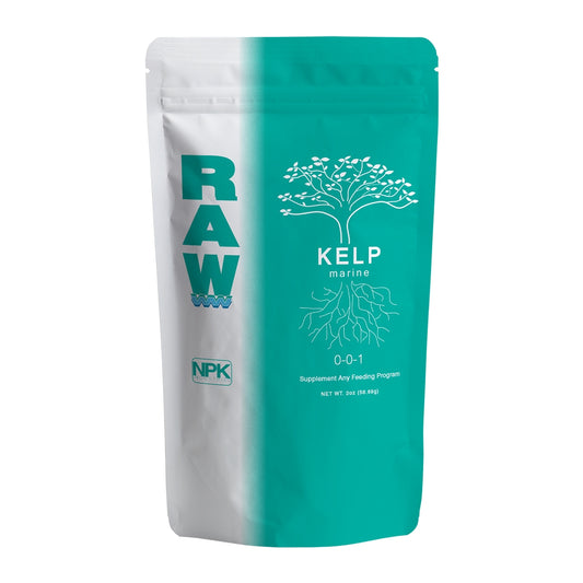 RAW Kelp