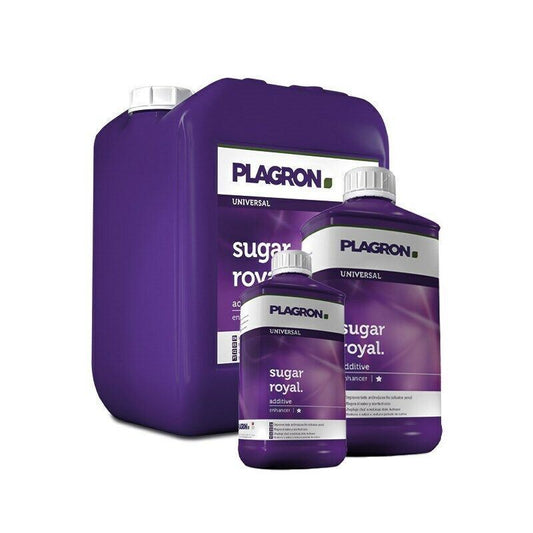 Plagron Sugar Royal