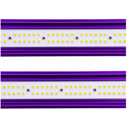 Lumatek Zeus 600w Pro 2.9 LED